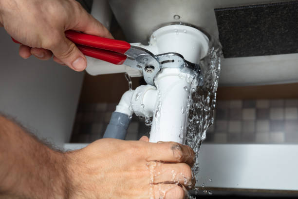 Best Mold removal after water damage  in Glen Burnie, MD