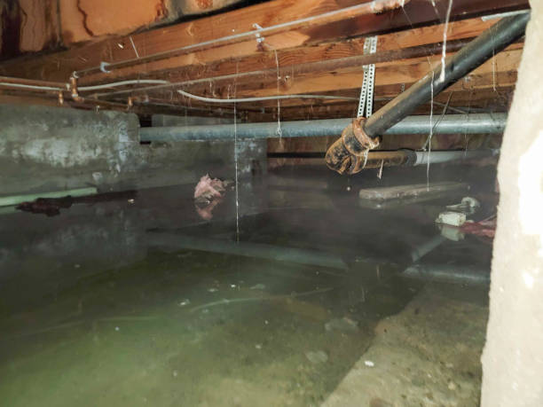 Carpet water damage restoration in Glen Burnie, MD