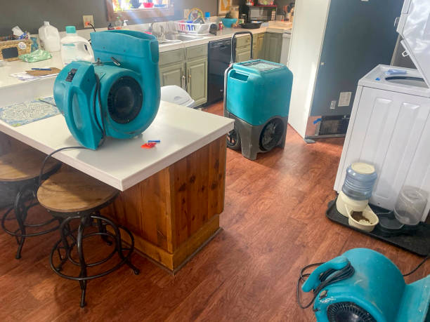 Best 24-hour water damage restoration  in Glen Burnie, MD