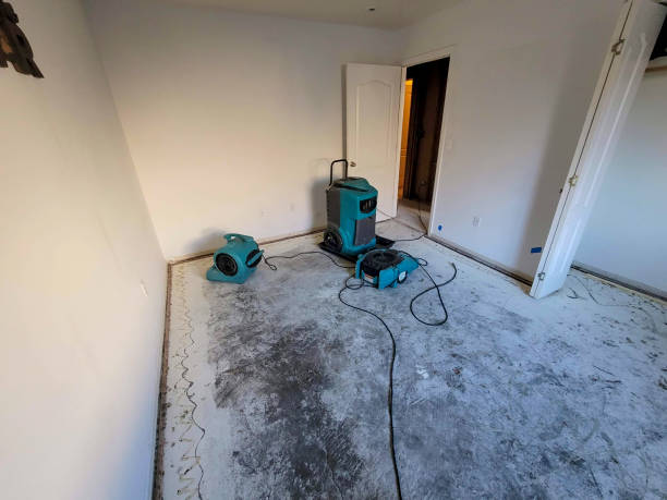 Best Local water damage restoration  in Glen Burnie, MD