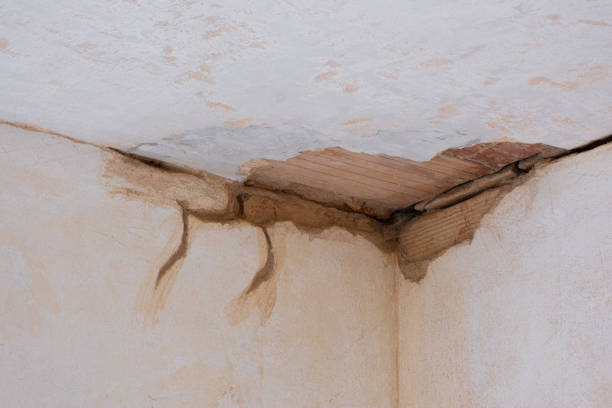 Best 24-hour water damage restoration  in Glen Burnie, MD