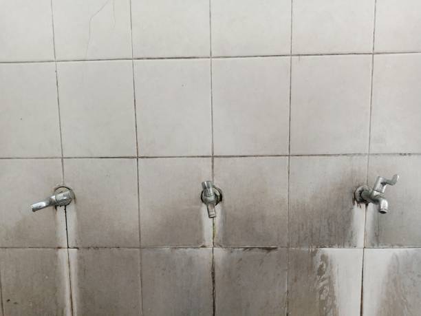 Best Ceiling water damage repair  in Glen Burnie, MD
