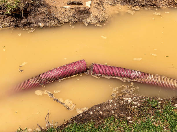 Best Water damage cleanup near me  in Glen Burnie, MD
