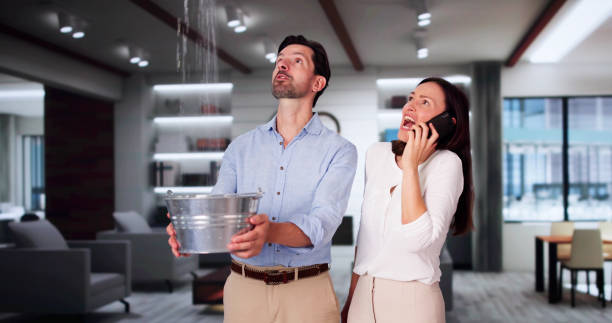 Best Water damage contractors near me  in Glen Burnie, MD